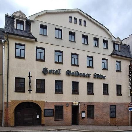 Hotel Goldener Loewe Zeulenroda-Triebes Luaran gambar