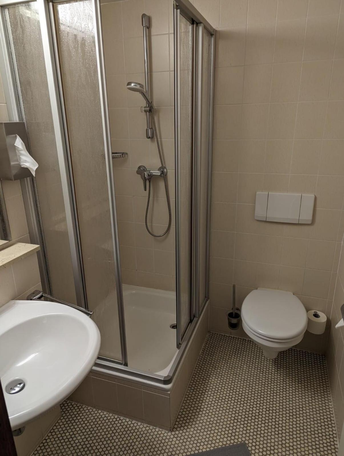 Hotel Goldener Loewe Zeulenroda-Triebes Luaran gambar